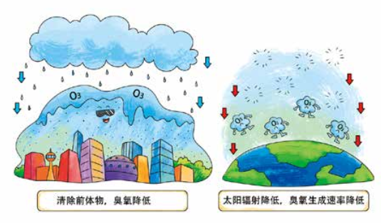 臭氧知識科普（4） | 環(huán)境空氣臭氧會通過哪些方式從空氣中消除呢？降水、植樹可以嗎？