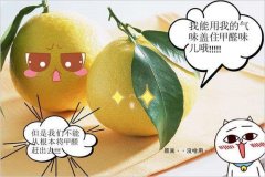 去除甲醛的方法多種多樣，哪種最實用靠譜